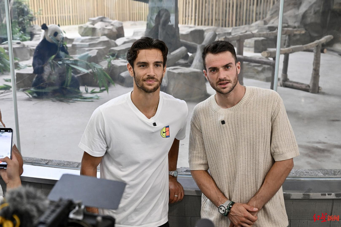 他们将迎来 他们将迎来